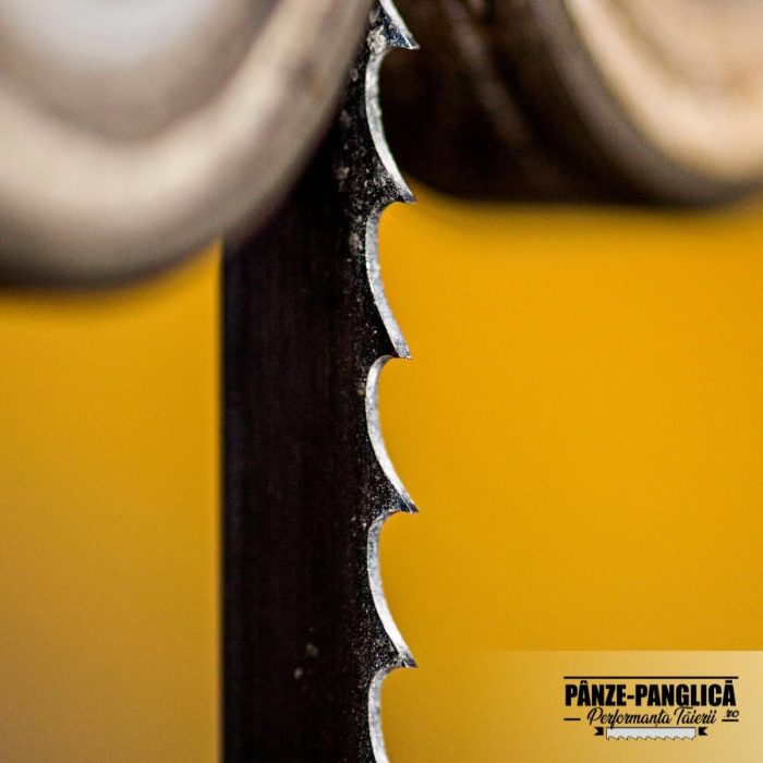 Panza panglica banzic 2950x20x0.8x3 TPI pentru fierastrau cu banda debitare lemn | Tamplarie - imagine 3