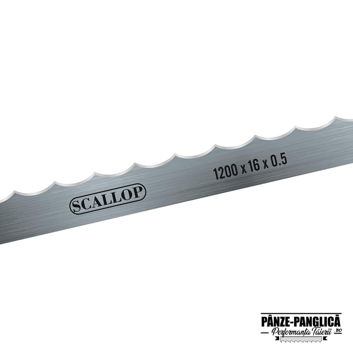 Panza banda carmangerie 1200x16 SCALLOP feliere peste Fierastrau panglica banzic oase 1200x16 macelarie
