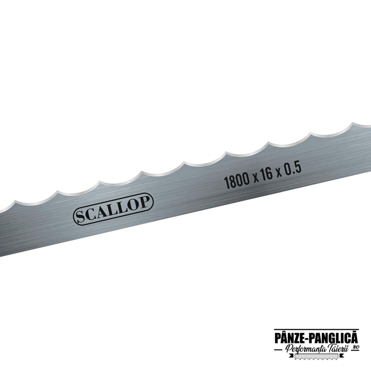 Panza banda carmangerie 1800x16 SCALLOP feliere peste Fierastrau panglica banzic oase 1800x16 macelarie