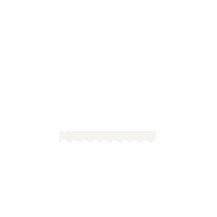 Logo ALB - PANZE PANGLICA SRL (1)